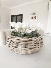 Load image into Gallery viewer, Kubu Basket Planter with Clear Liner