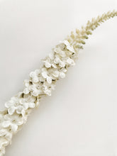 Load image into Gallery viewer, White Veronica Stem