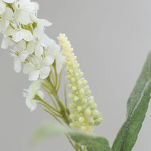 Load image into Gallery viewer, White Veronica Stem