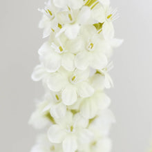 Load image into Gallery viewer, White Veronica Stem