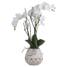 Load image into Gallery viewer, Large White Orchid in Stone Pot