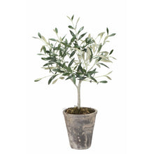 Load image into Gallery viewer, Faux/Artificial Olive Tree in Ceramic Pot