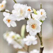 Load image into Gallery viewer, Tall White Artificial Cherry Blossom Stem