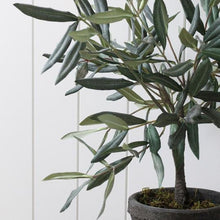 Load image into Gallery viewer, Faux/Artificial Olive Tree in Ceramic Pot