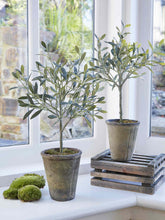 Load image into Gallery viewer, Faux/Artificial Olive Tree in Ceramic Pot