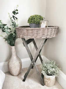 Faux Hebe Globe pot