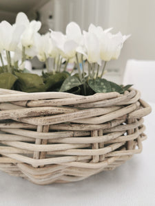 Kubu Basket Planter with Clear Liner