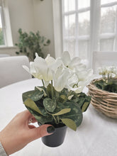 Load image into Gallery viewer, White Artificial Cyclamen in Pot
