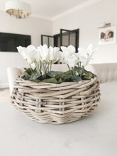 Load image into Gallery viewer, White Artificial Cyclamen in Pot
