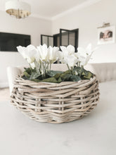 Load image into Gallery viewer, Kubu Basket Planter with Clear Liner
