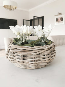 Kubu Basket Planter with Clear Liner