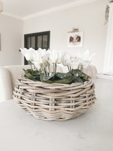 Kubu Basket Planter with Clear Liner