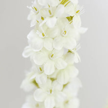 Load image into Gallery viewer, White Veronica Stem
