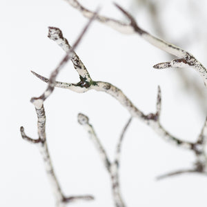 Winter Faux Hawthorn Branch