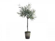 Load image into Gallery viewer, Large Faux/Artificial Olive Tree in Ceramic Pot - Pre order, early March delivery

