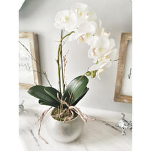 Load image into Gallery viewer, Artifical Stone potted white orchid with roots and moss detail 
