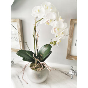 Artifical Stone potted white orchid with roots and moss detail 