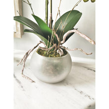 Load image into Gallery viewer, Artifical Stone potted white orchid with roots and moss detail 

