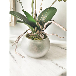 Artifical Stone potted white orchid with roots and moss detail 