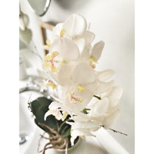 Load image into Gallery viewer, Artifical Stone potted white orchid with roots and moss detail 
