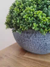 Load image into Gallery viewer, Faux Hebe Globe pot
