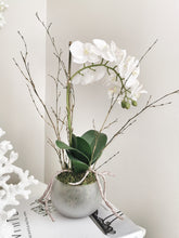 Load image into Gallery viewer, Perfectly Imperfect Stone Potted White Orchid with Roots and Moss Detail
