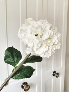 Giant Silk White Mophead Hydrangea Stem