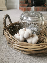 Load image into Gallery viewer, Set of Three White Velvet Pumpkins
