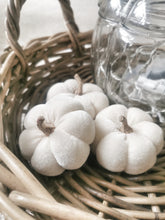 Load image into Gallery viewer, Set of Three White Velvet Pumpkins
