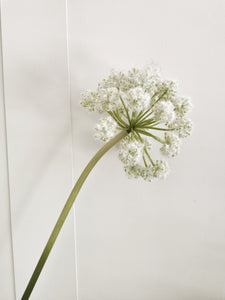 Large Artificial White Allium Stem