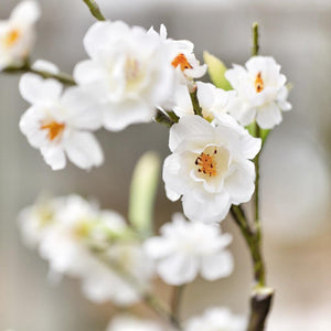 Tall White Artificial Cherry Blossom Stem