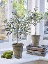 Load image into Gallery viewer, Faux/Artificial Olive Tree in Ceramic Pot
